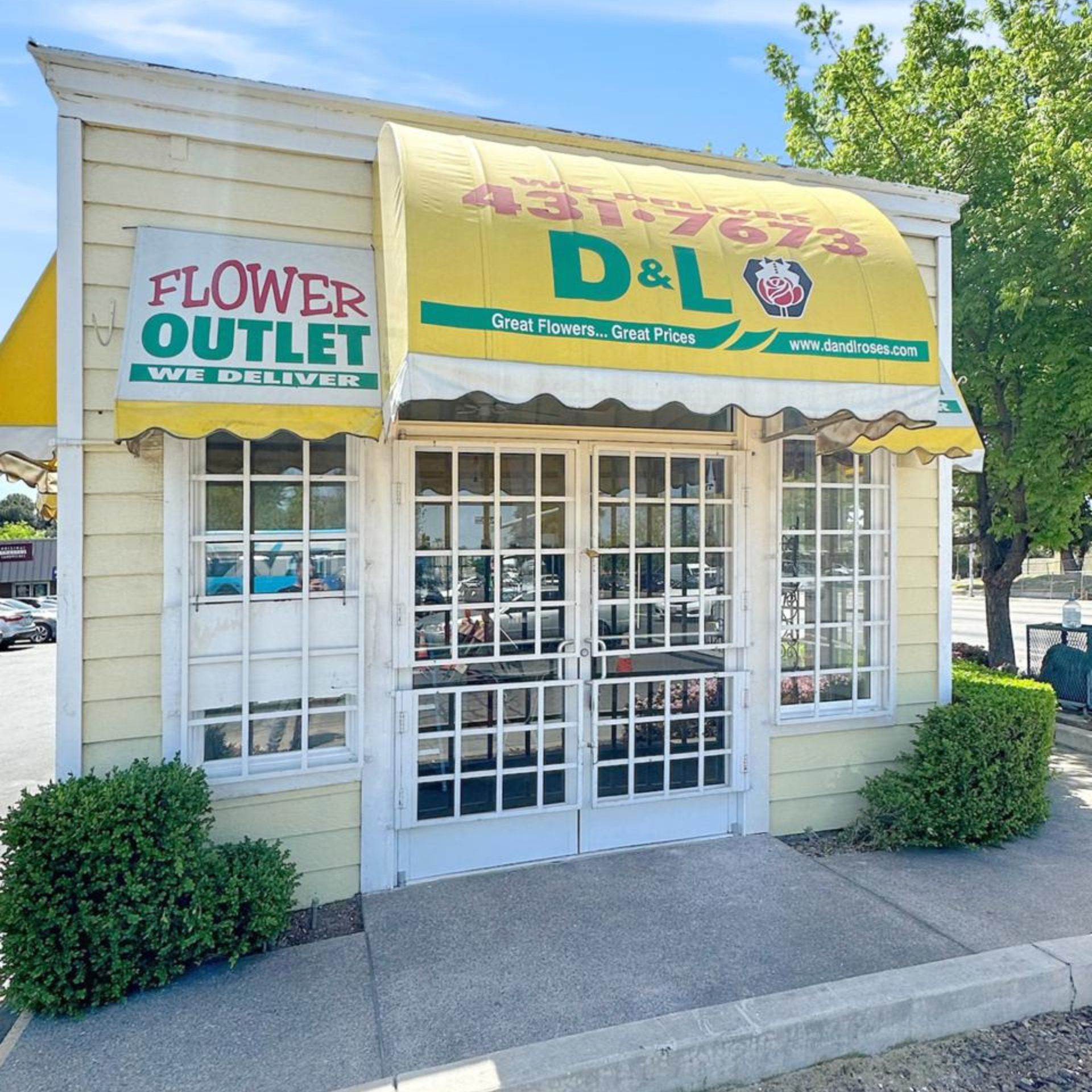 D&L Commercial Remodel